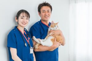 第2回:動物病院の人件費と社会保険の注意点